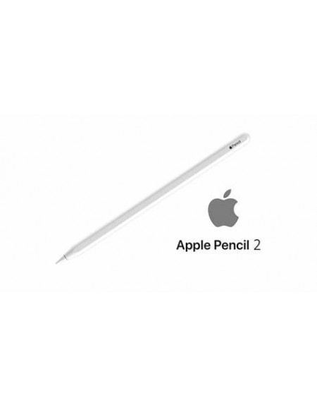 APPLE PENCIL 2ª Geração...